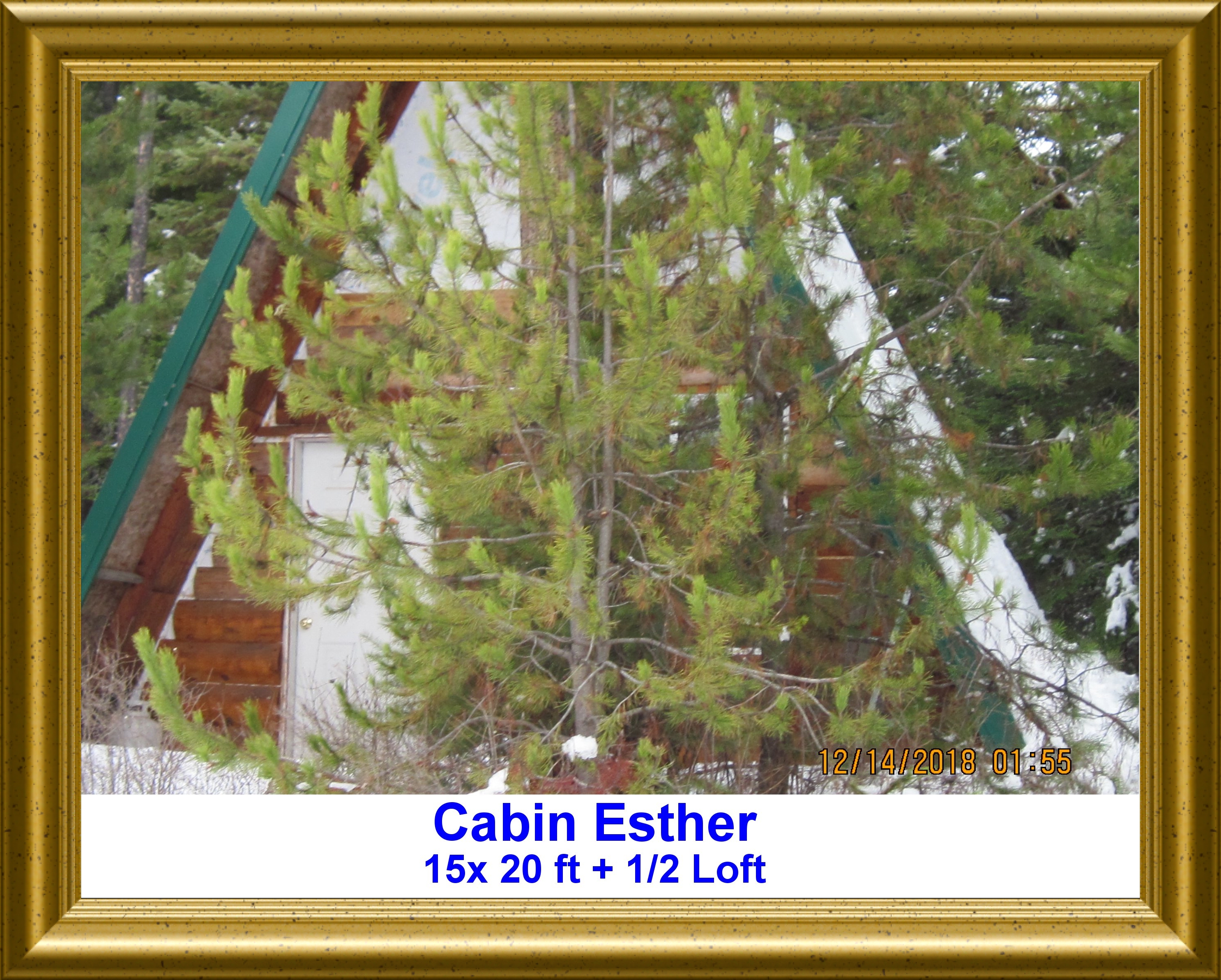 Cabin Esther Expanded